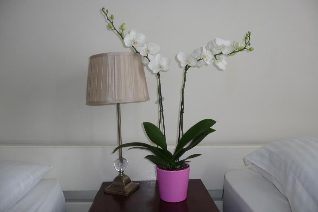 ホテルKillarney House Western Road コーク 部屋 写真